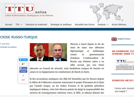 Западные СМИ: Россия обвиняет турецкую разведку в помощи боевикам