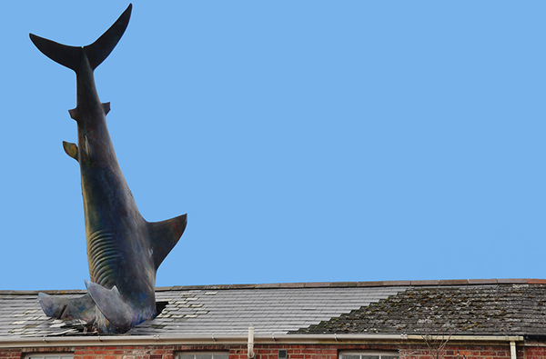 Хедингтонская акула. Фото: Margaret Stranks