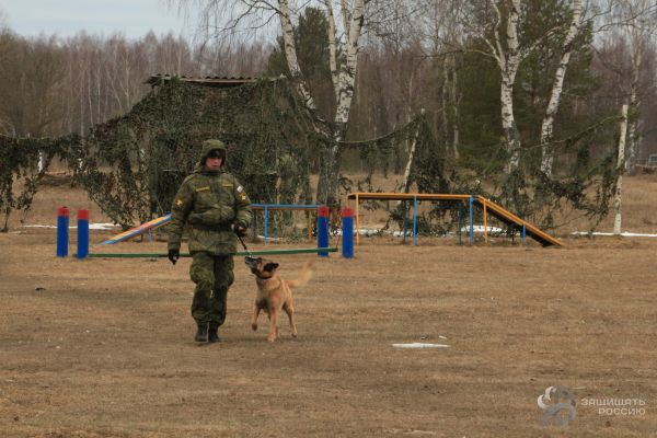 Рожденные под красной звездой. Служебные собаки российской армии