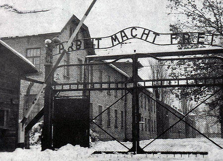 Минобороны России раскрыло данные по Освенциму
