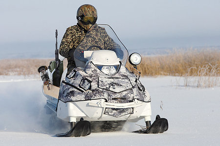 Лучше, чем олени: арктический транспорт российских военных