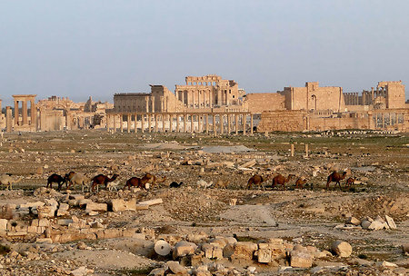Сирийские войска вошли в древнюю Пальмиру