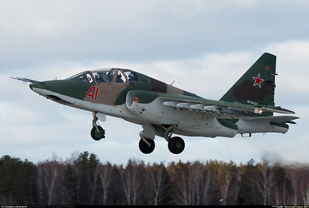 В Приморье «грач» Су-25 упал на огород