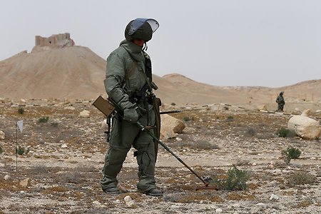 825 гектаров сирийской Пальмиры очистили от мин российские саперы (Видео)