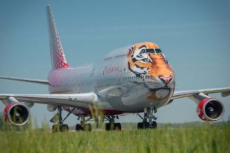 В Сочи начал летать двухэтажный самолет с мордой тигра (фото)