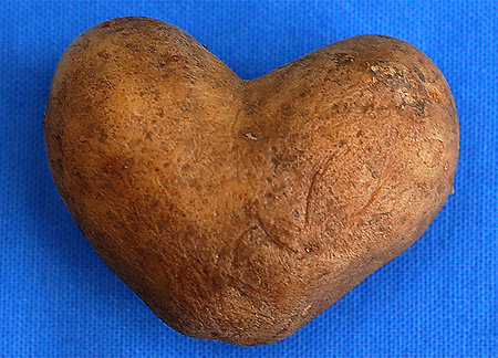 Девять фактов о картофеле