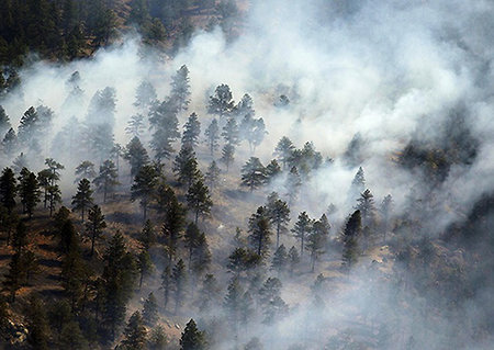 Военные пилоты отслеживают лесные пожары