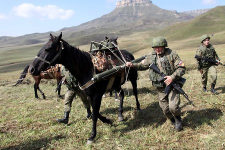 Лошади подвезли тонны снарядов для горных учений