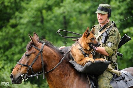 Учения «Восток-2018» патрулируют на конях
