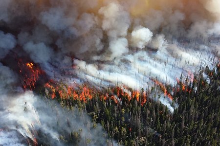 Минобороны включилось в борьбу с лесными пожарами