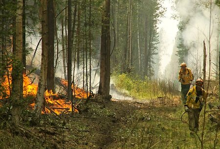 Военные потушили лесные пожары в Туве